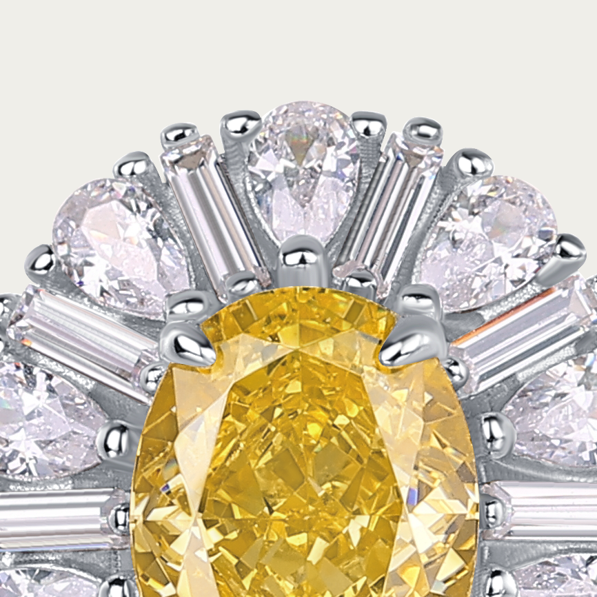 Dazzling Dream Earrings