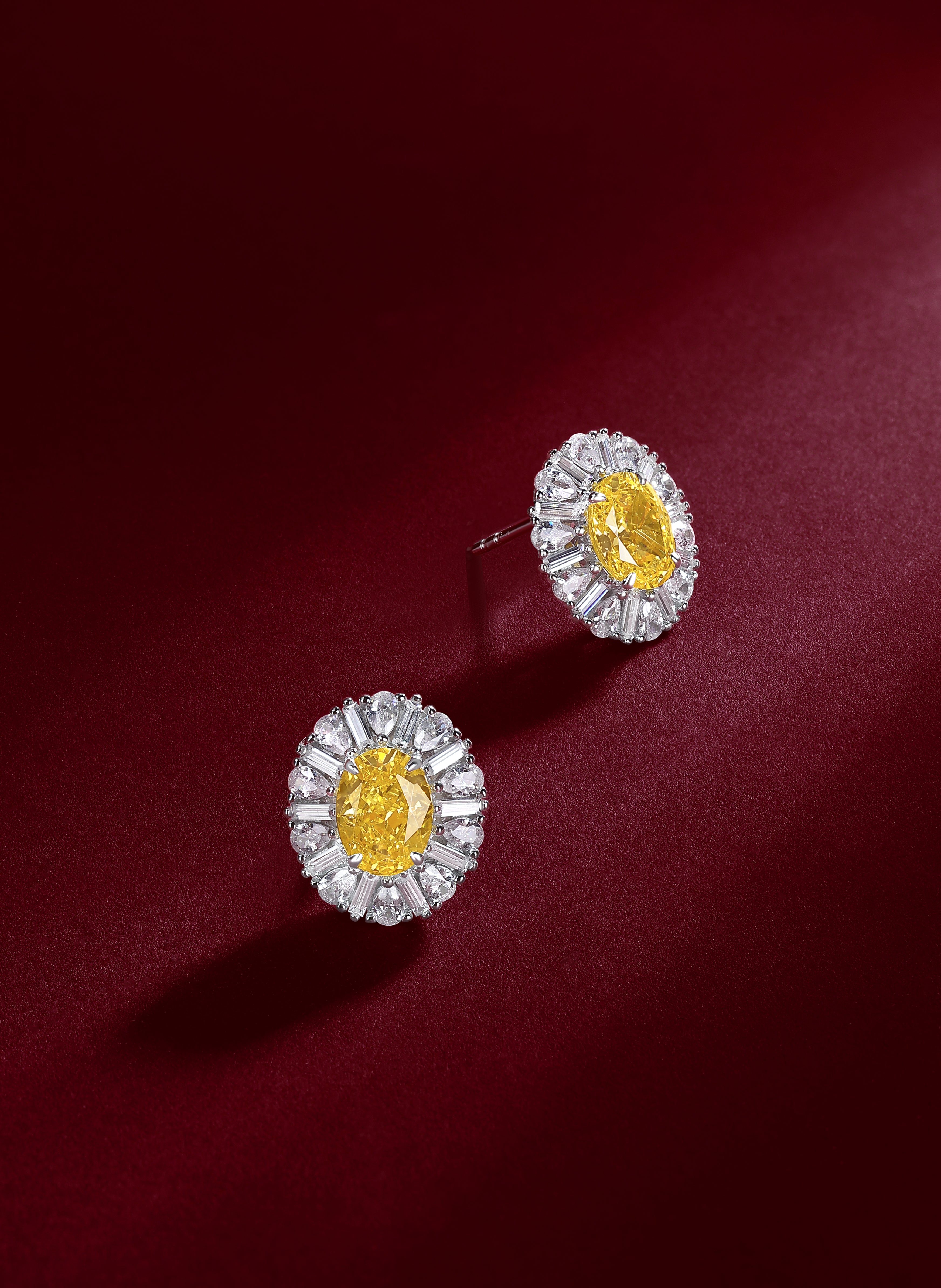 Dazzling Dream Earrings